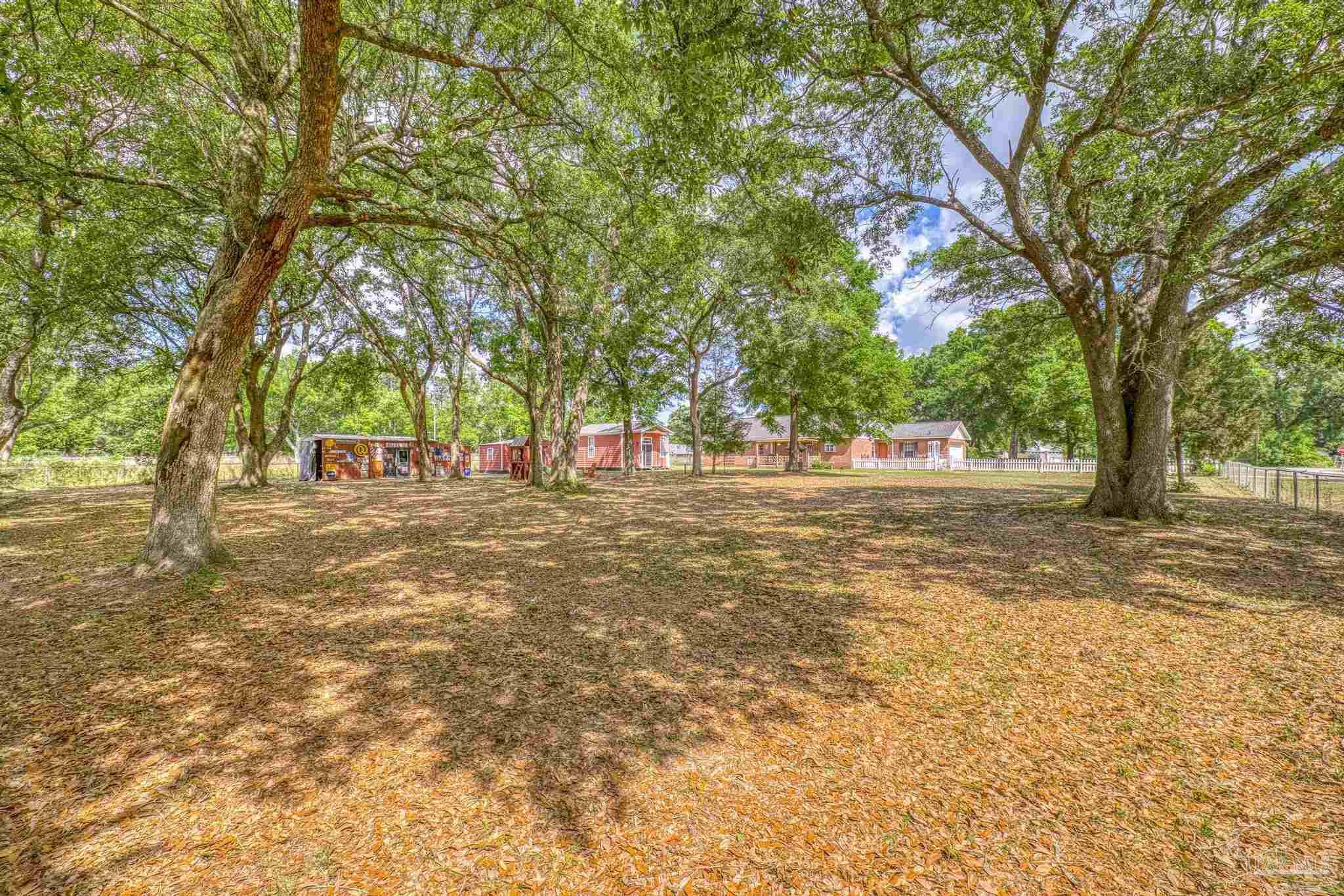 4959 Skipper Lane Pace, FL 32571 - Photo 46 of 51 a view of green field with trees