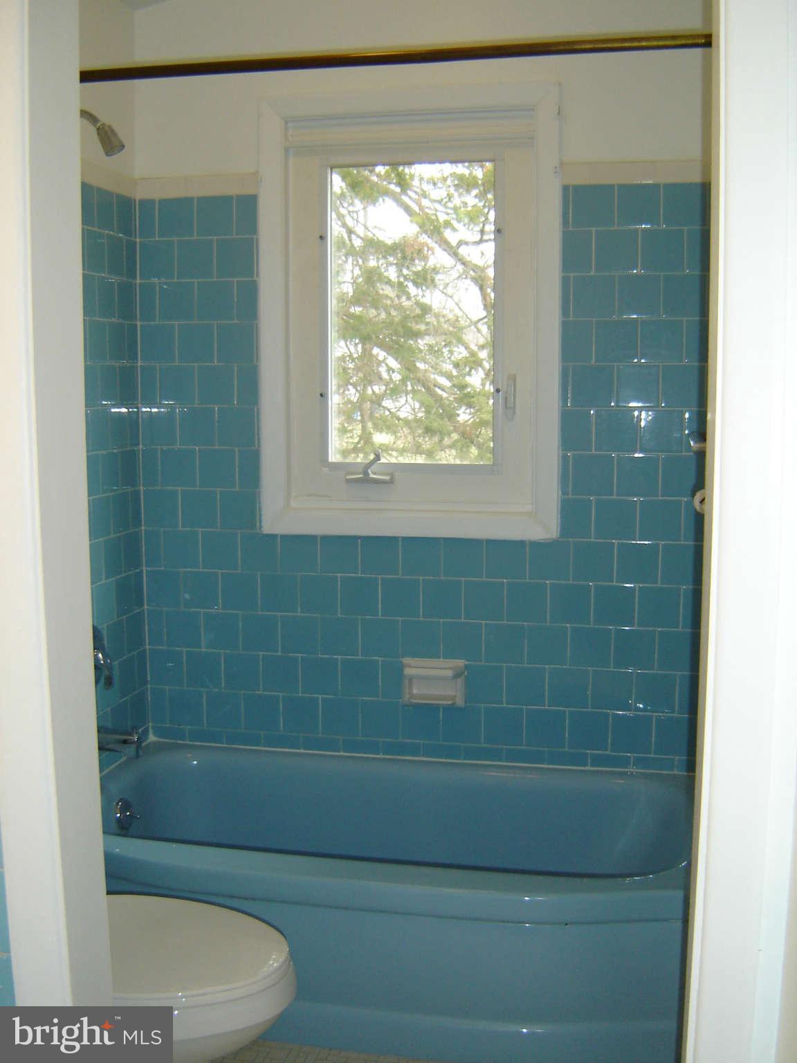 8402 Charlton Road Randallstown, MD 21133 - Photo 30 of 30 Bath Tub Area