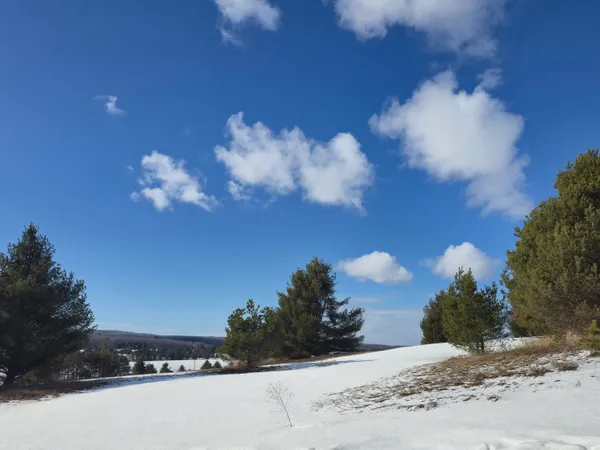 $268,000 | 5850 Deer Run Trail, Harbor Springs, MI 49740