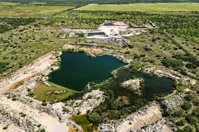 a view of a bunch of trees and bushes