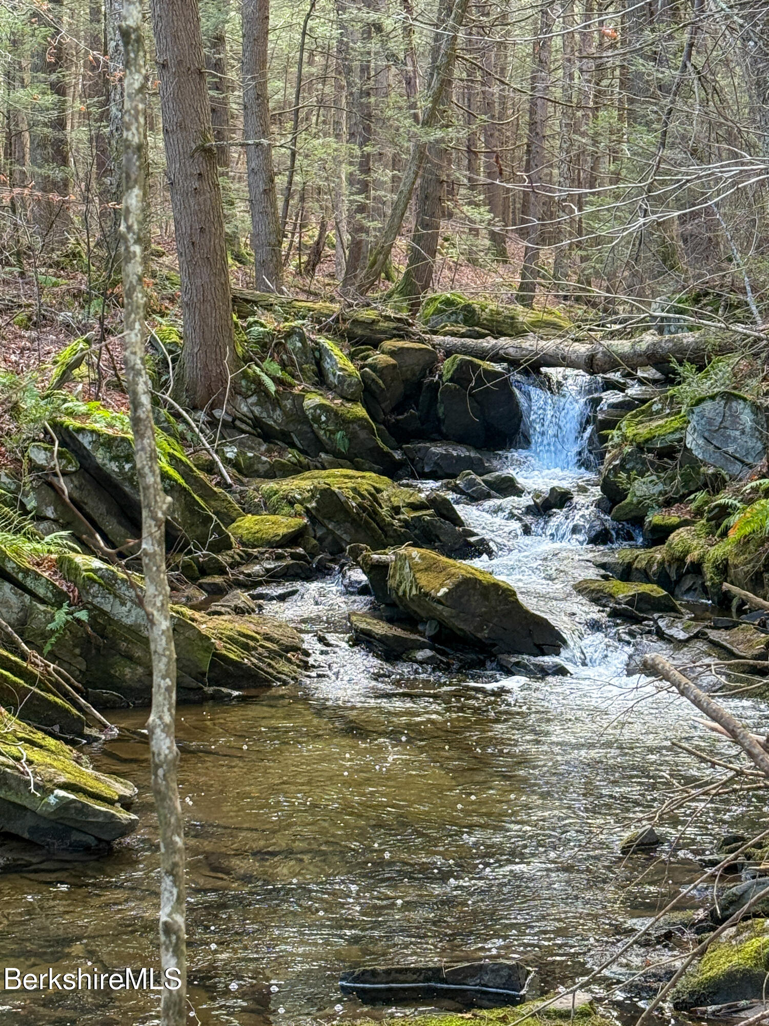 10.4 ACRES BENTON HILL ROAD