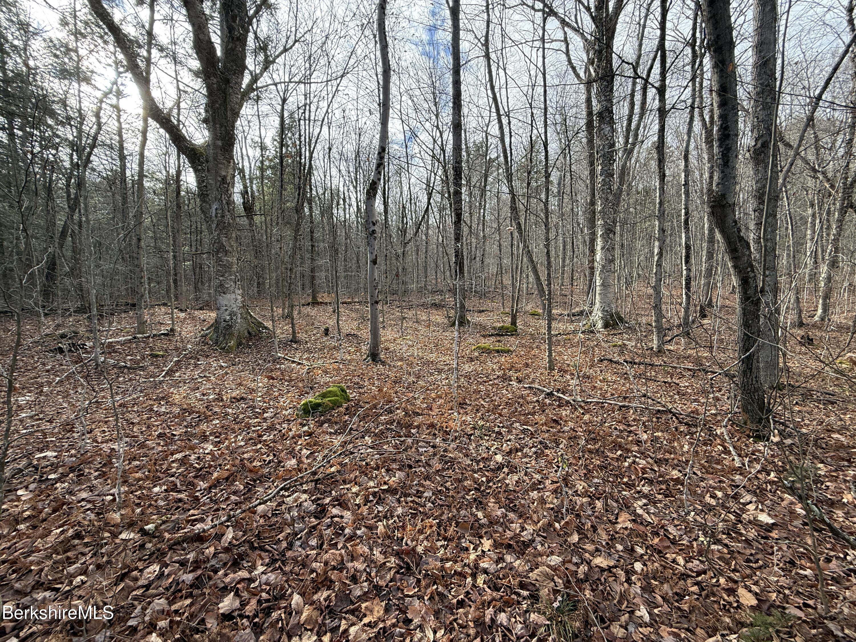 Lot 8 Benton Hill Road Becket, MA 01223 - Photo 2 of 12 10.4 ACRES BENTON HILL ROAD