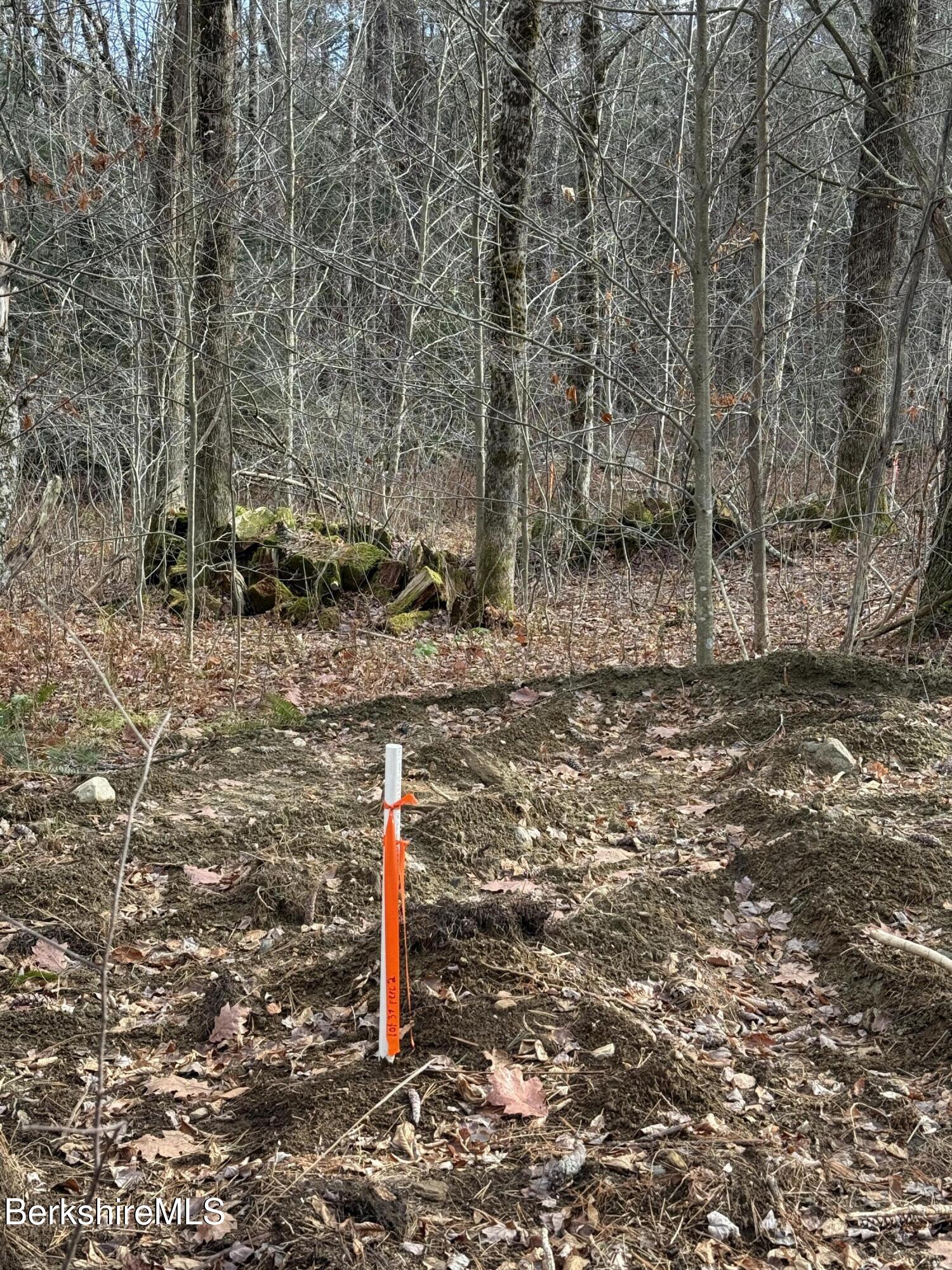 Lot 8 Benton Hill Road Becket, MA 01223 - Photo 7 of 12 10.4 ACRES BENTON HILL ROAD