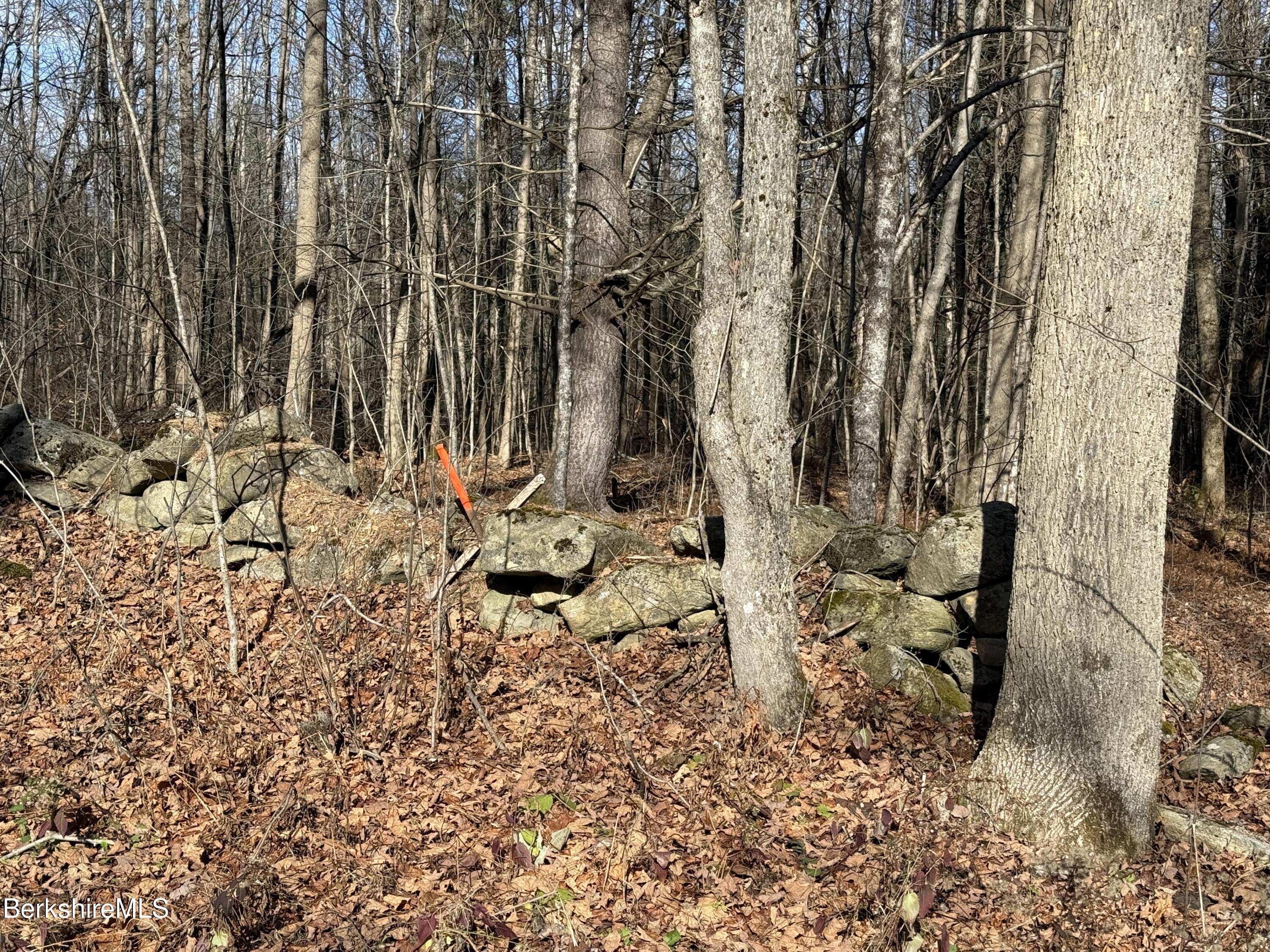 Lot 8 Benton Hill Road Becket, MA 01223 - Photo 10 of 12 10.4 ACRES BENTON HILL ROAD