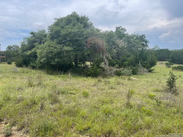 $65,000 | 114 George Dolson, Blanco, TX 78606