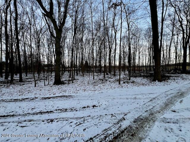 0 South Royston Road Eaton Rapids, MI 48827 - Photo 15 of 15 IMG_6678