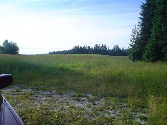4595 A Oregon Road Clayton, WA 99110 - Photo 5 of 9