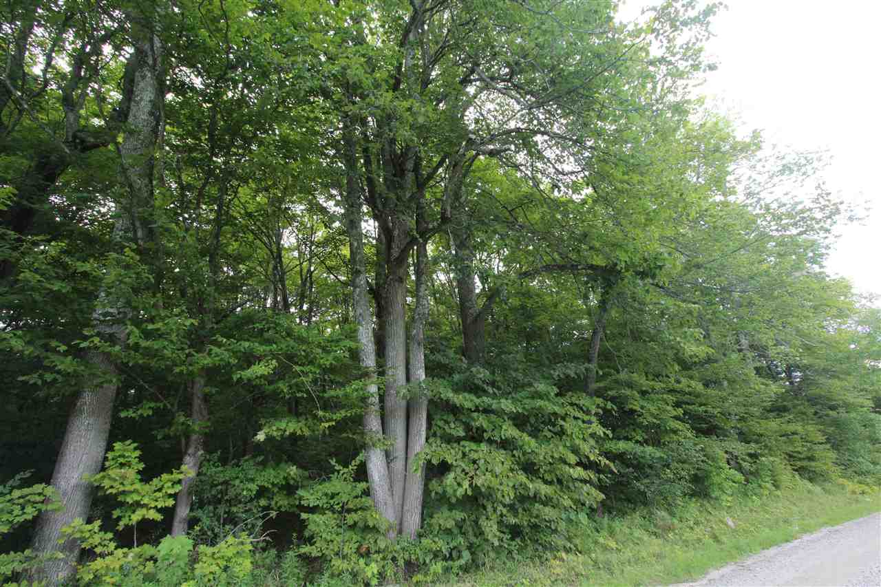 0 Blanchard Hill Road Peacham, VT 05862 - Photo 1 of 3 Gallery Image 1