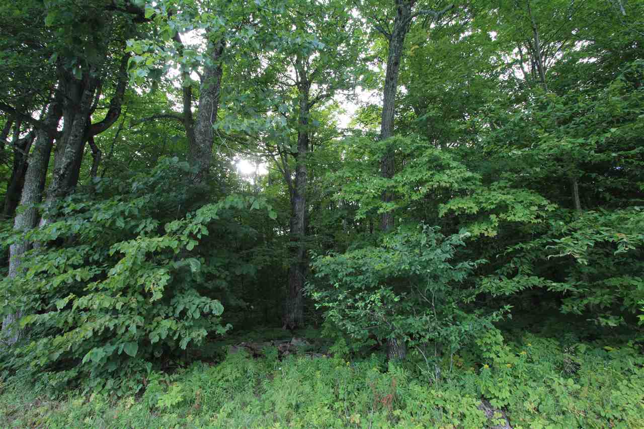 0 Blanchard Hill Road Peacham, VT 05862 - Photo 2 of 3 Gallery Image 2