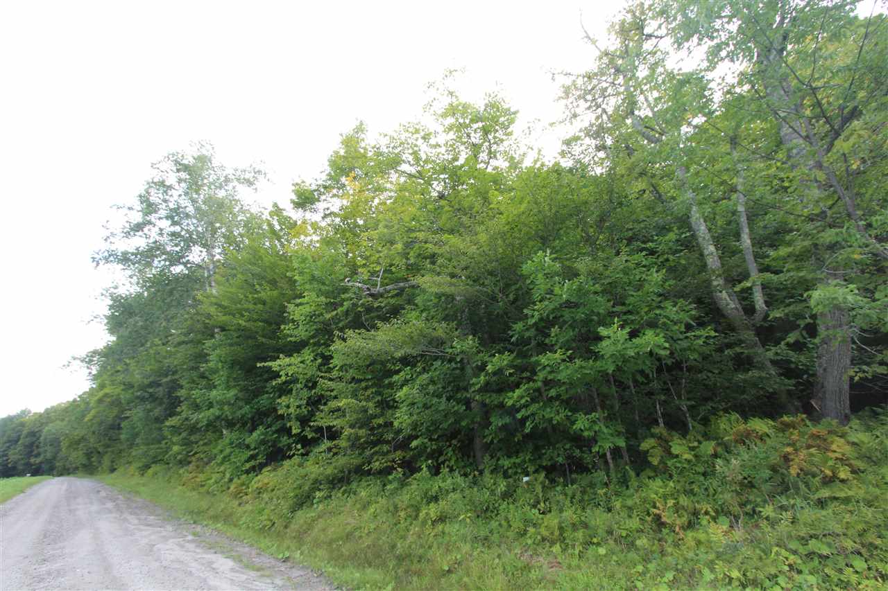 0 Blanchard Hill Road Peacham, VT 05862 - Photo 3 of 3 Gallery Image 3