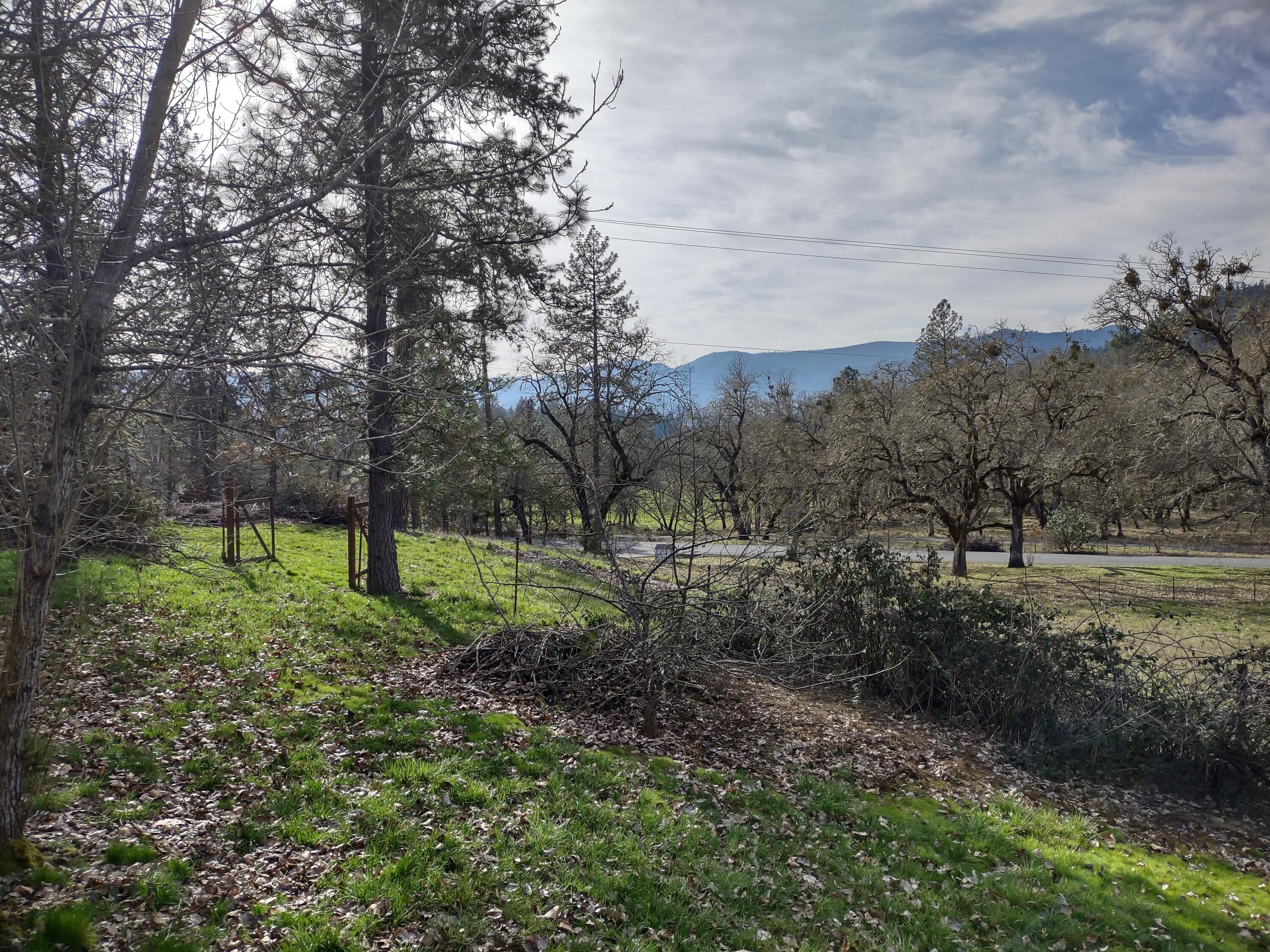 241 Gunnell Road Grants Pass, OR 97526 - Photo 5 of 23 a view of outdoor space and green space