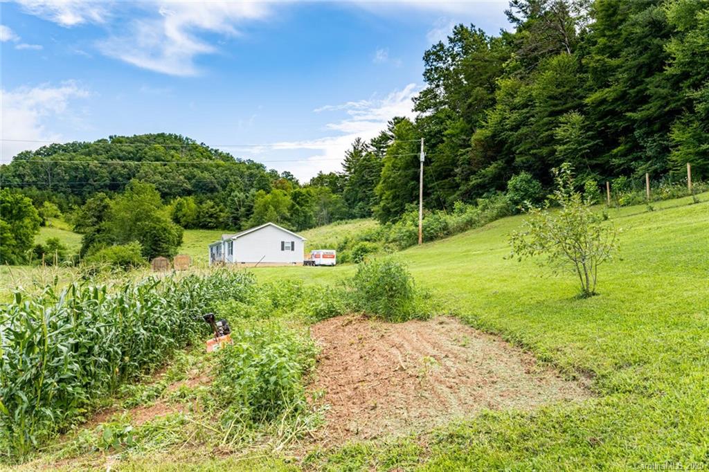 354 Lost Cove Road Clyde, NC 28721 - Photo 12 of 13 a view of a big yard with plants and large trees