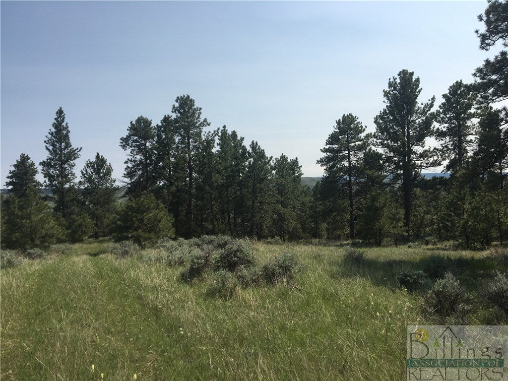 Lot 11 Ponderosa Ridge Columbus, MT 59019 - Photo 1 of 1 Gallery Image 1