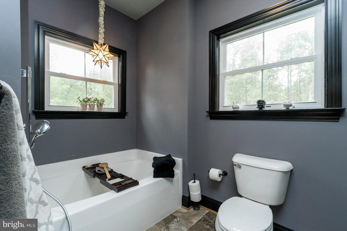 10115 Alum Springs Road Culpeper, VA 22701 - Photo 29 of 30 Bath (Master)