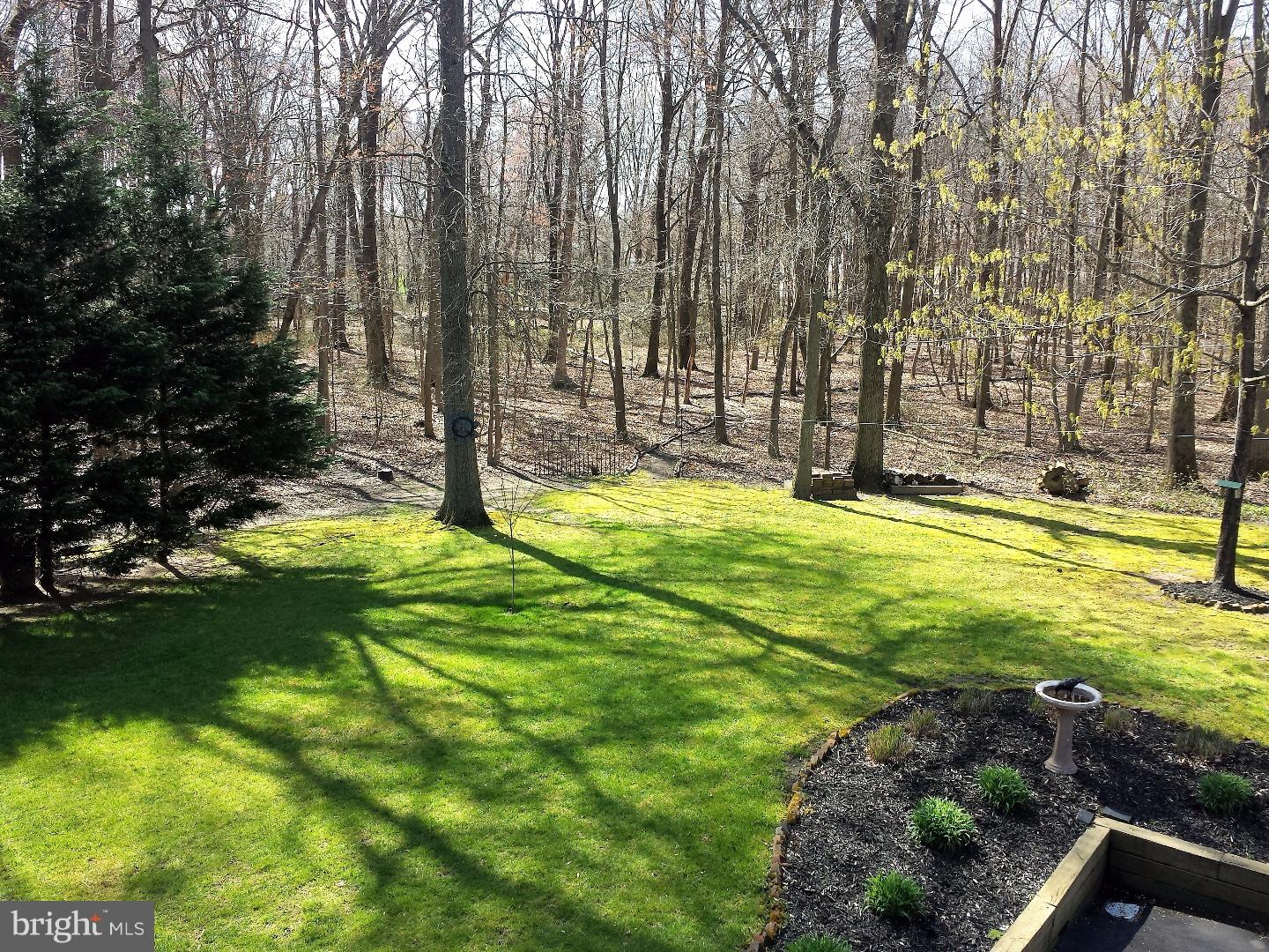 1420 Deacon Road Hainesport, NJ 08036 - Photo 16 of 21 Back Yard