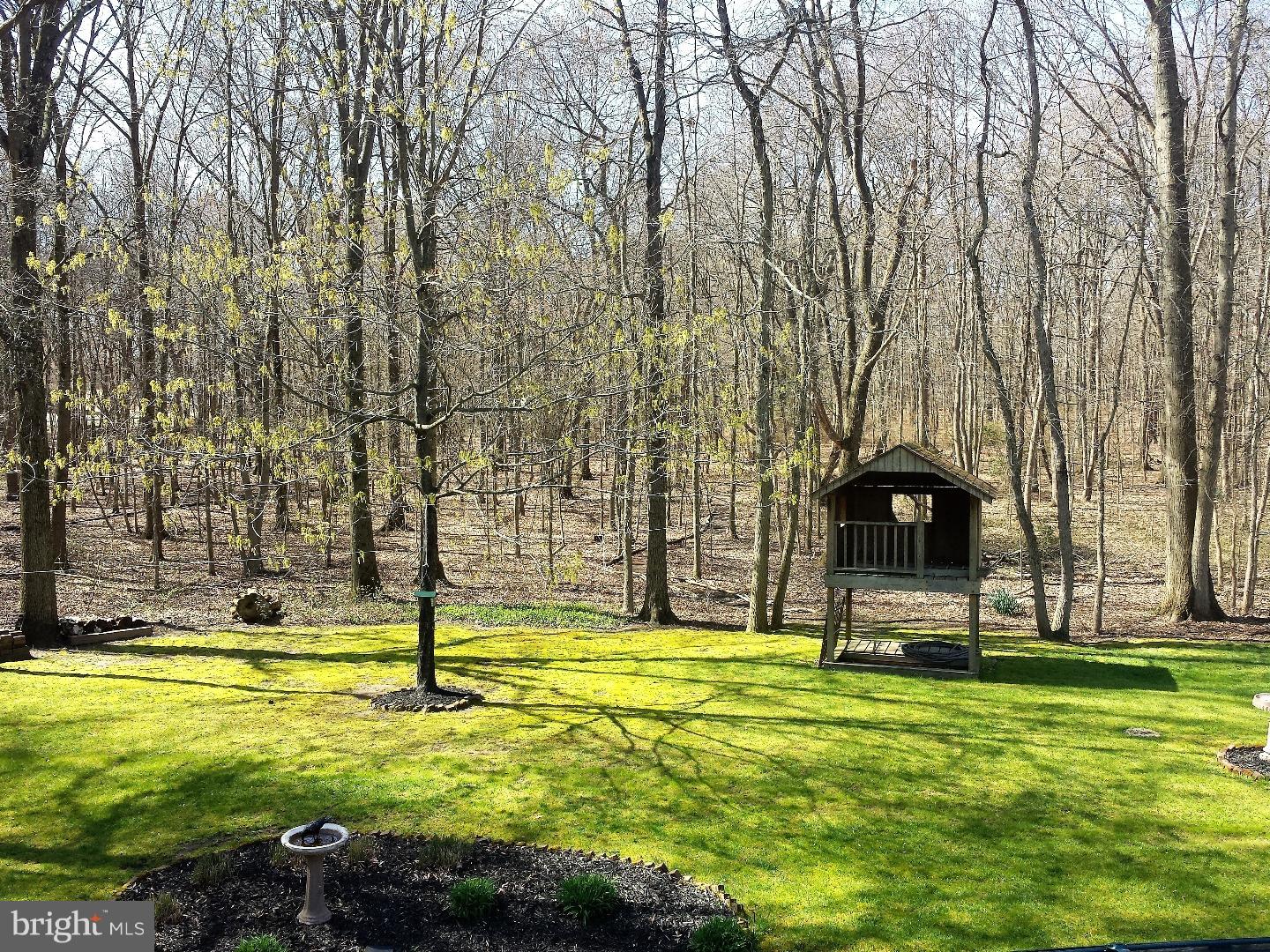 1420 Deacon Road Hainesport, NJ 08036 - Photo 17 of 21 Back Yard