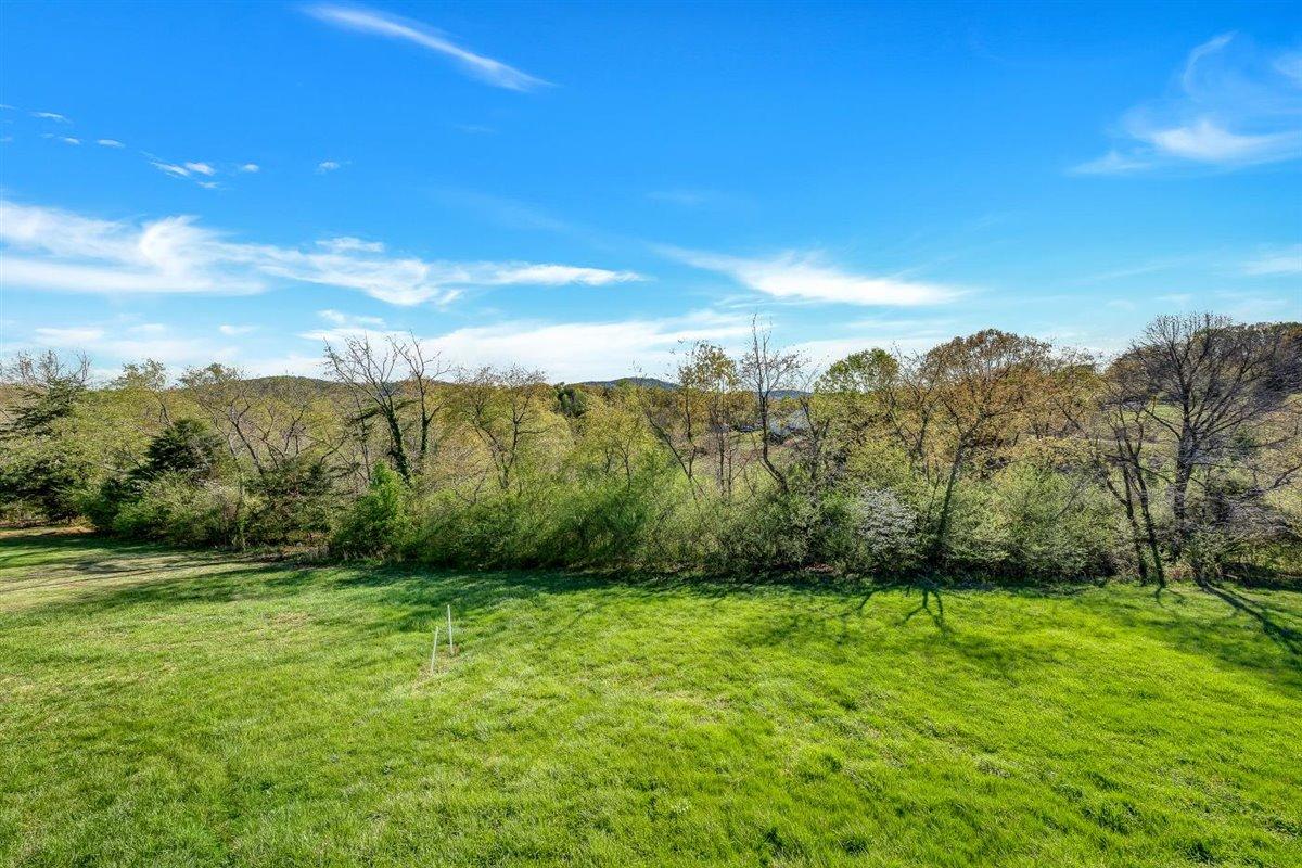 12595 Hardy Road Hardy, VA 24101 - Photo 27 of 33 a view of a yard with an trees