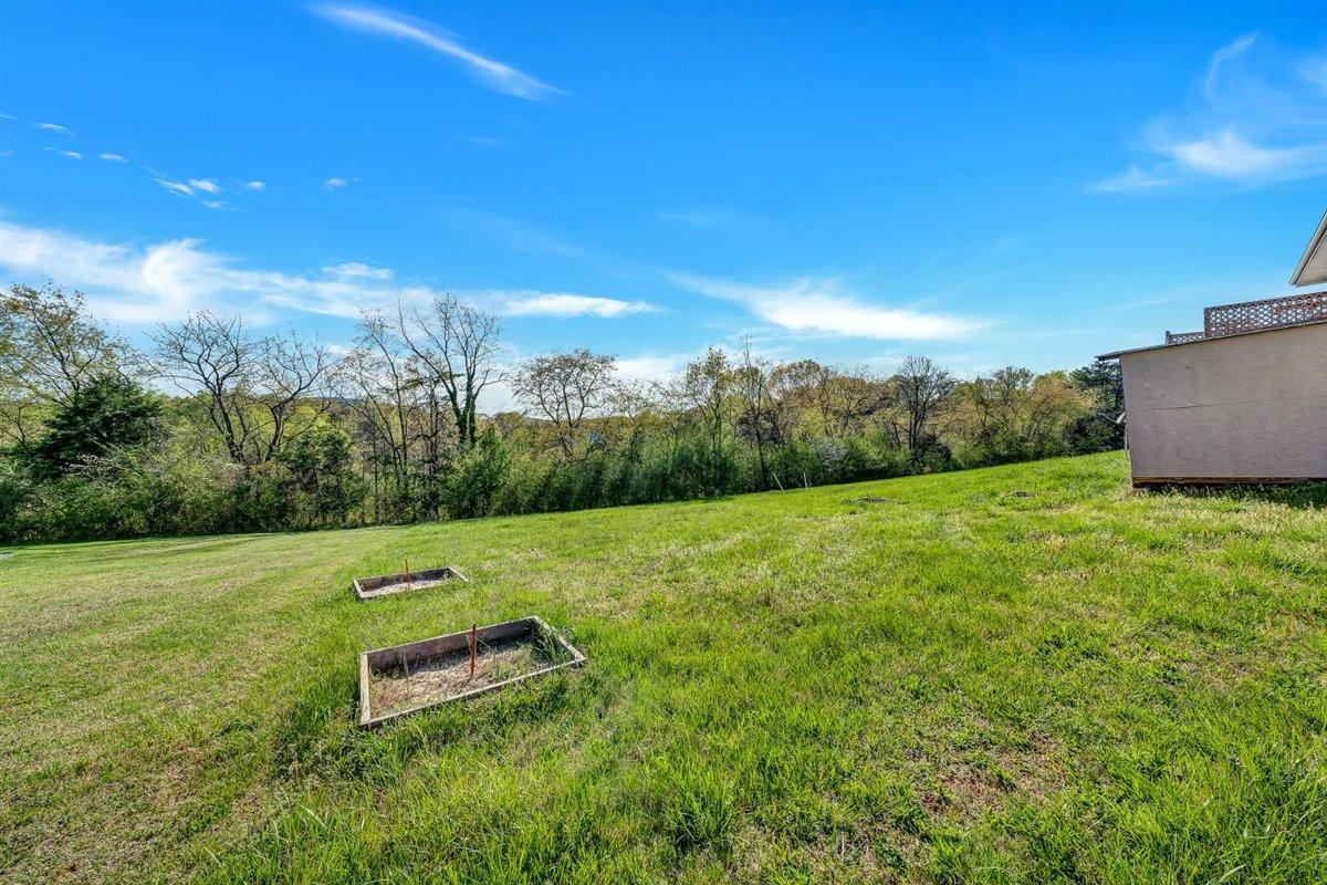 12595 Hardy Road Hardy, VA 24101 - Photo 30 of 33 a view of a backyard with plants and grass