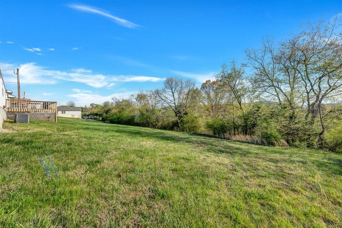 12595 Hardy Road Hardy, VA 24101 - Photo 10 of 33 a view of a grassy field with trees