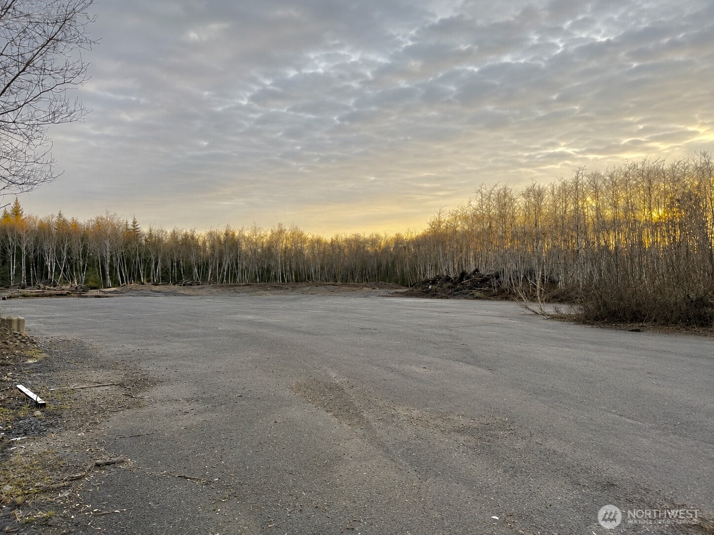 7507 Highway 101 Amanda Park, WA 98526 - Photo 2 of 30