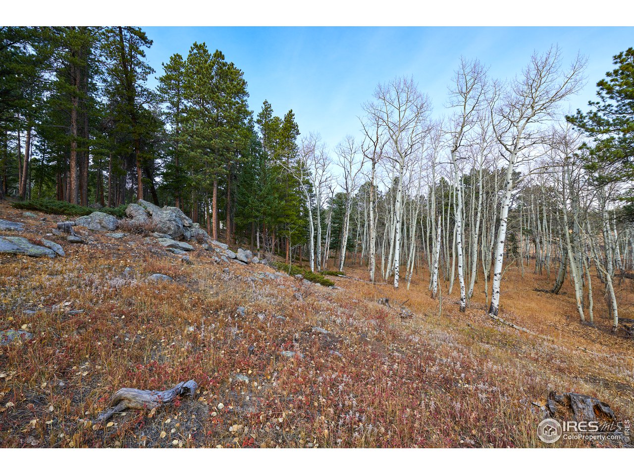 643 Coughlin Meadows Road Boulder, CO 80302 - Photo 24 of 30 Gallery Image 24