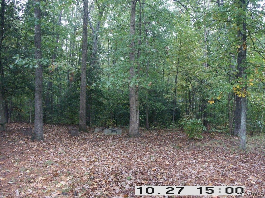 14501 Aldengate Road Midlothian, VA 23114 - Photo 22 of 24 Gallery Image 22