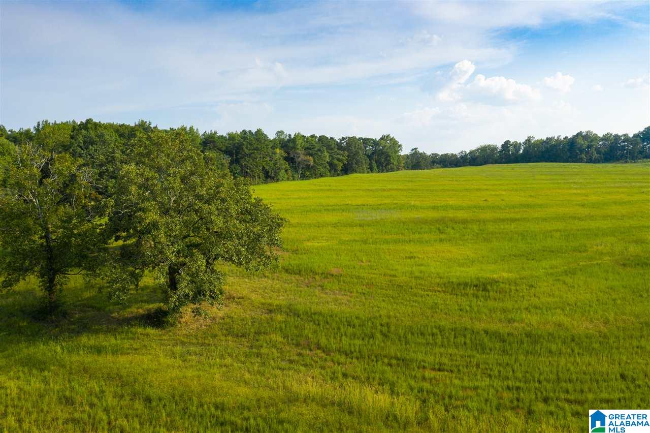 0 County Road 27, Unit 46 ACRES Springville, AL 35146 - Photo 4 of 11