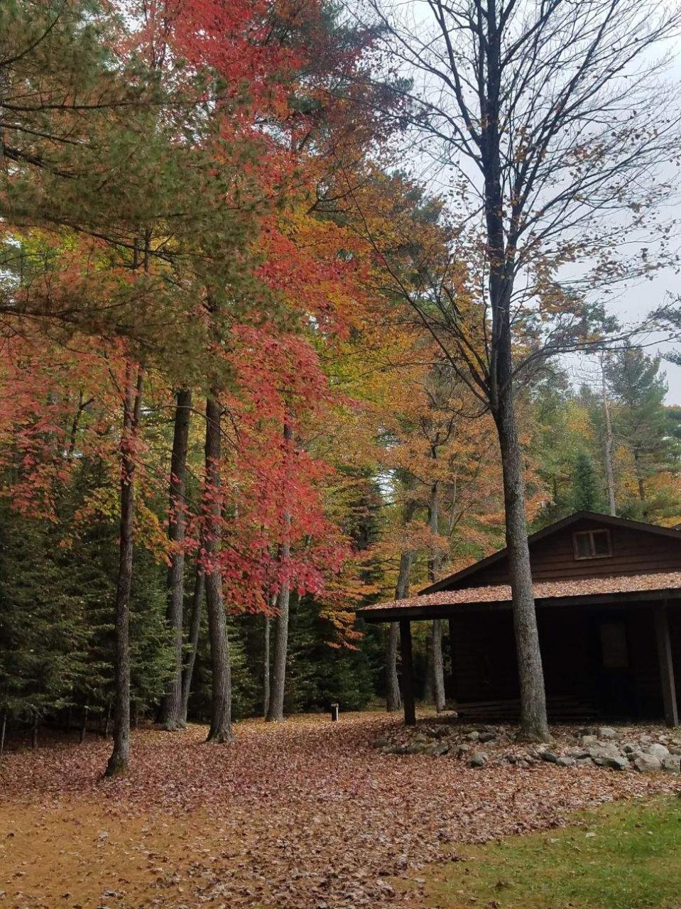1980 Harmony Lake Road Eagle River, WI 54521 - Photo 11 of 55 Gallery Image 11