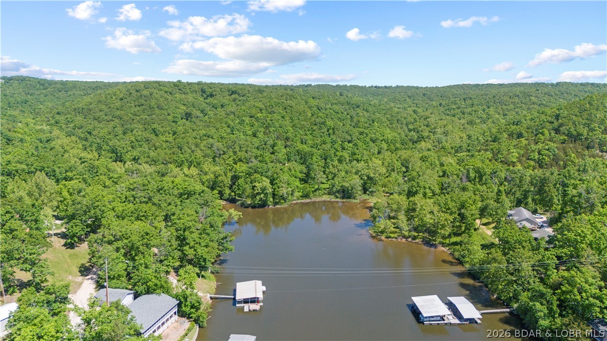 5-acres Pirates Pirates Cove Road Camdenton, MO 65020 - Photo 6 of 30