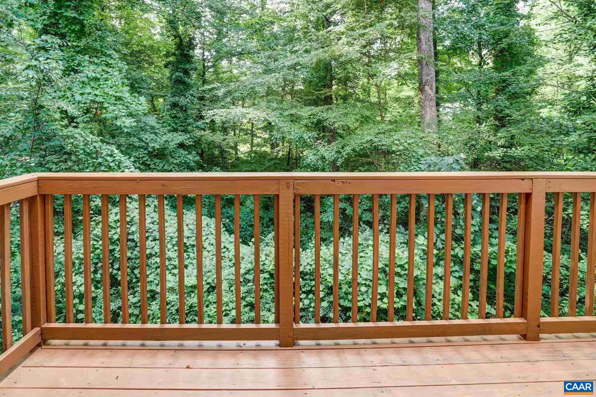 826 Rockcreek Road Charlottesville, VA 22903 - Photo 19 of 47 Gallery Image 19