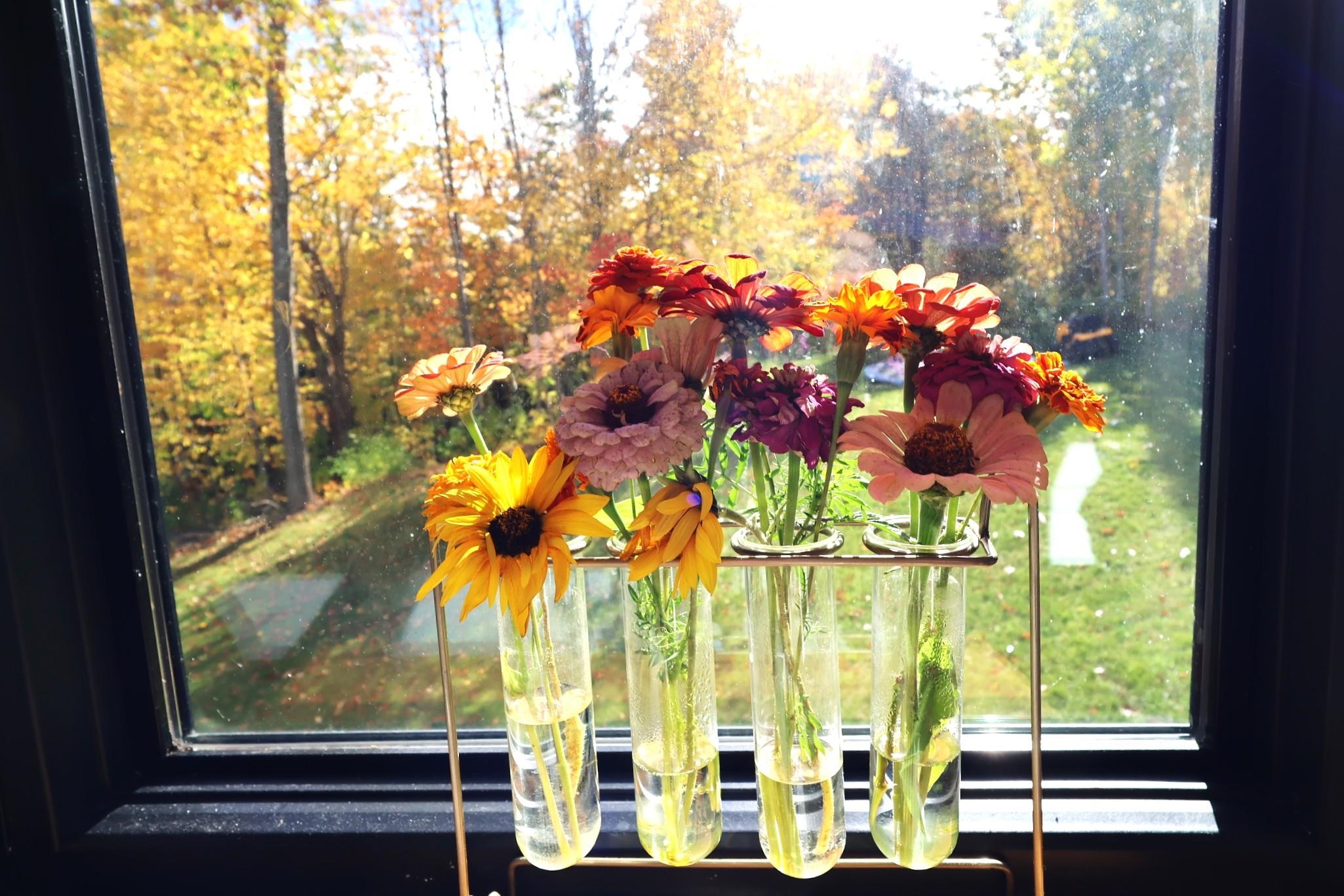 39142 North York Road High Bridge, WI 54846 - Photo 15 of 74