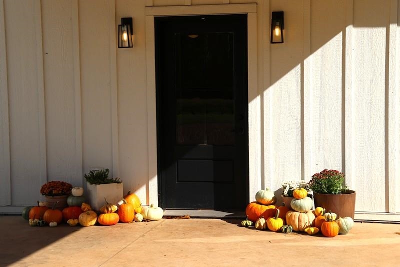 39142 North York Road High Bridge, WI 54846 - Photo 5 of 74