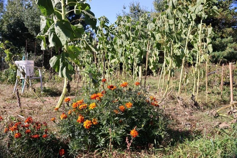 39142 North York Road High Bridge, WI 54846 - Photo 63 of 74