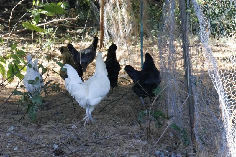 39142 North York Road High Bridge, WI 54846 - Photo 64 of 74