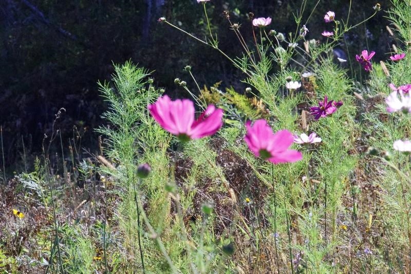 39142 North York Road High Bridge, WI 54846 - Photo 65 of 74