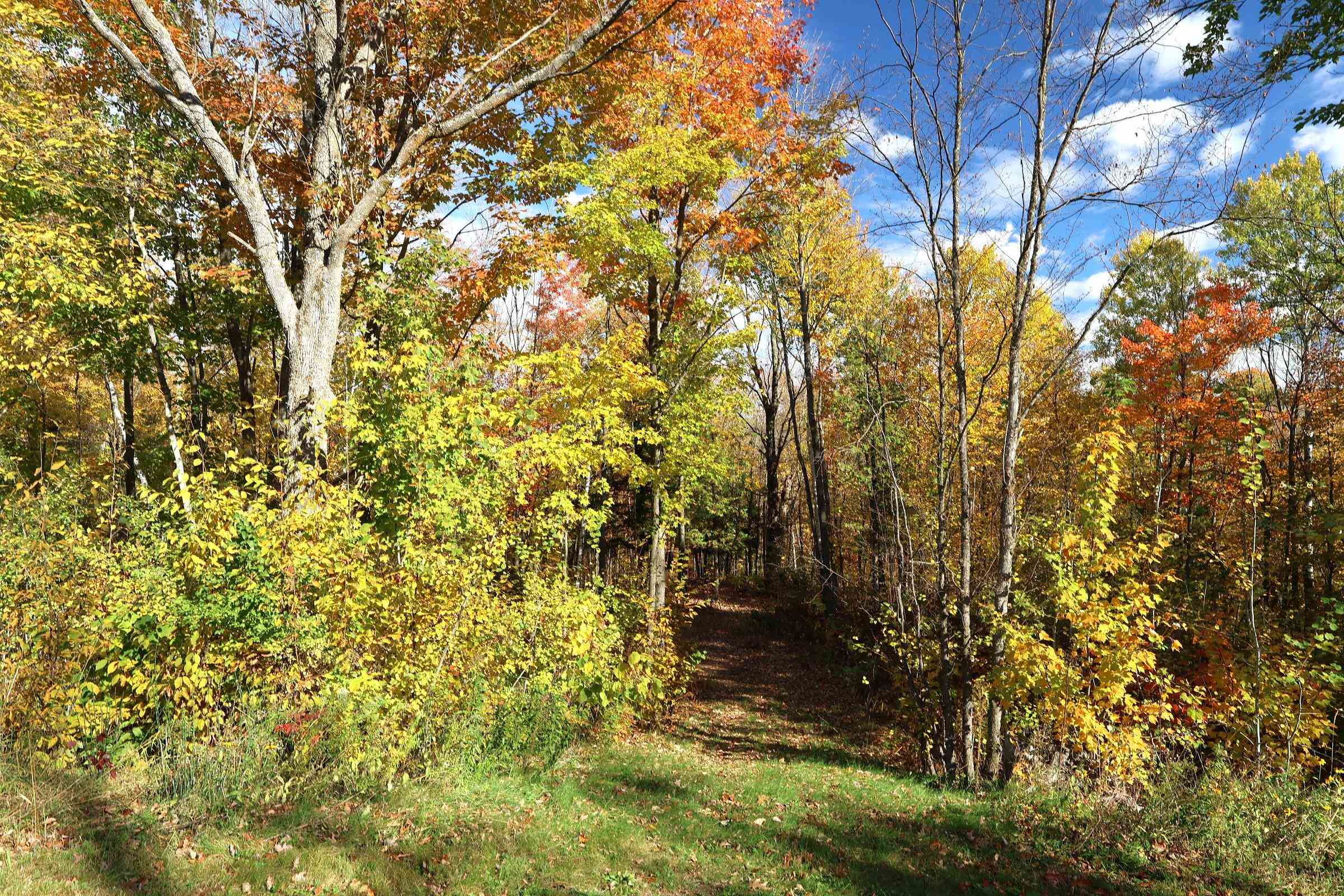 39142 North York Road High Bridge, WI 54846 - Photo 67 of 74