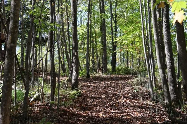 $665,000 | 39142 North York Road, High Bridge, WI 54846