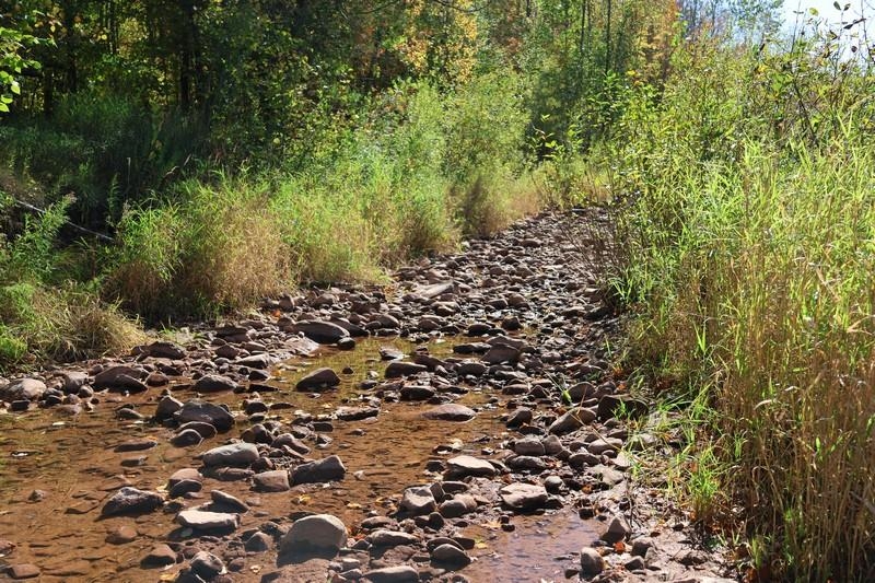 39142 North York Road High Bridge, WI 54846 - Photo 69 of 74