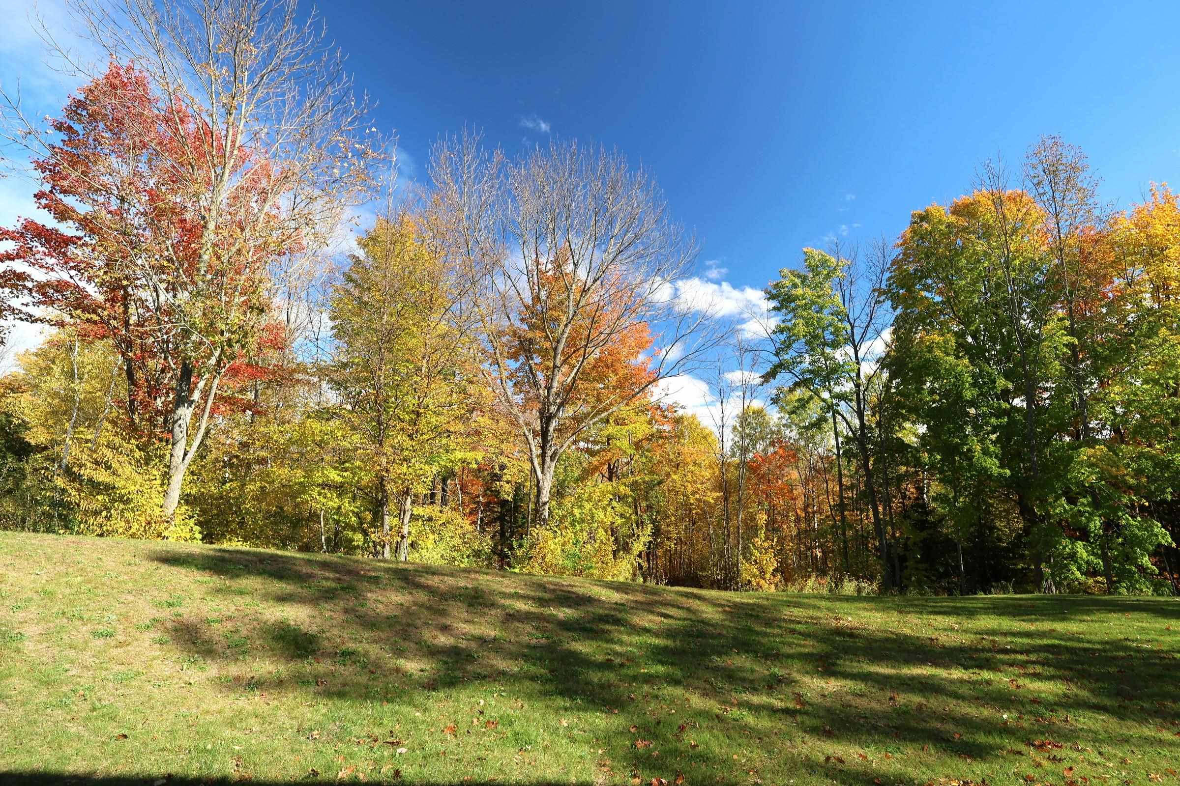 39142 North York Road High Bridge, WI 54846 - Photo 73 of 74