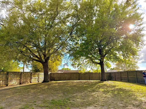 a view of large trees with a yard