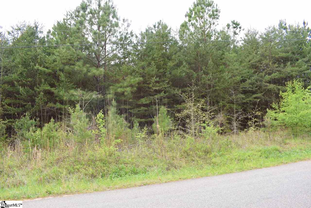 115 State Rd S-42-779 Inman, SC 29349 - Photo 1 of 19