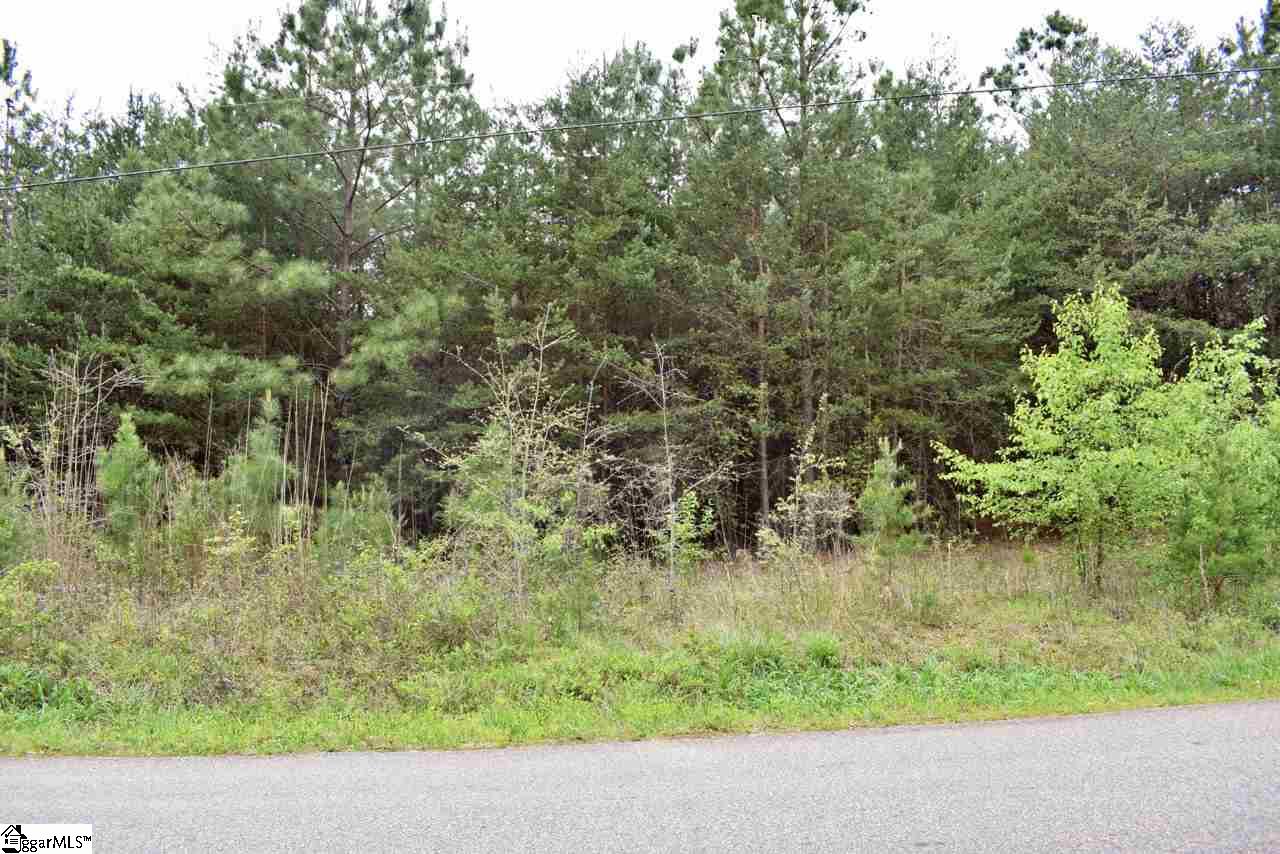 115 State Rd S-42-779 Inman, SC 29349 - Photo 2 of 19