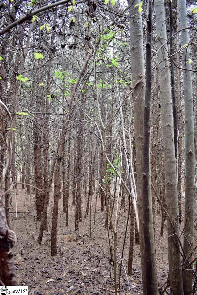 115 State Rd S-42-779 Inman, SC 29349 - Photo 11 of 19
