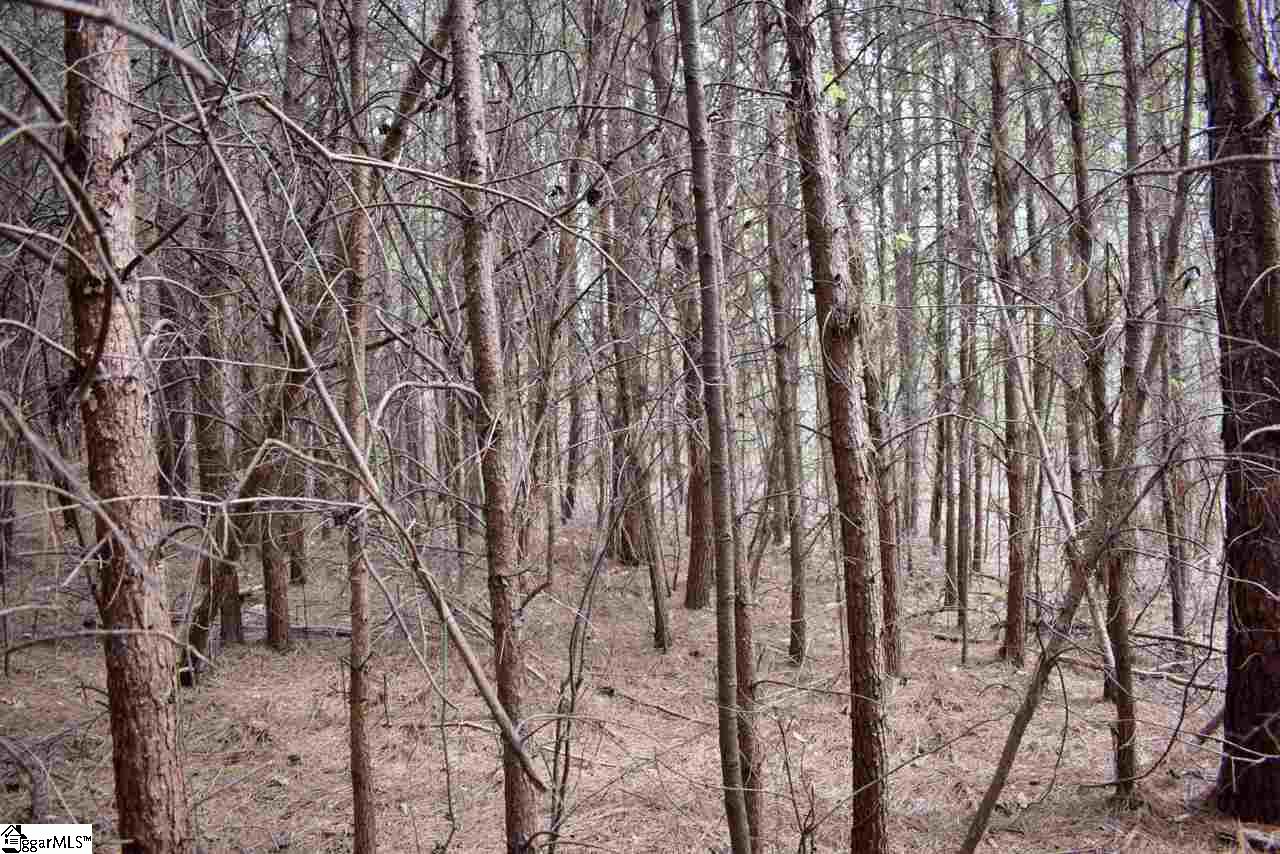 115 State Rd S-42-779 Inman, SC 29349 - Photo 12 of 19