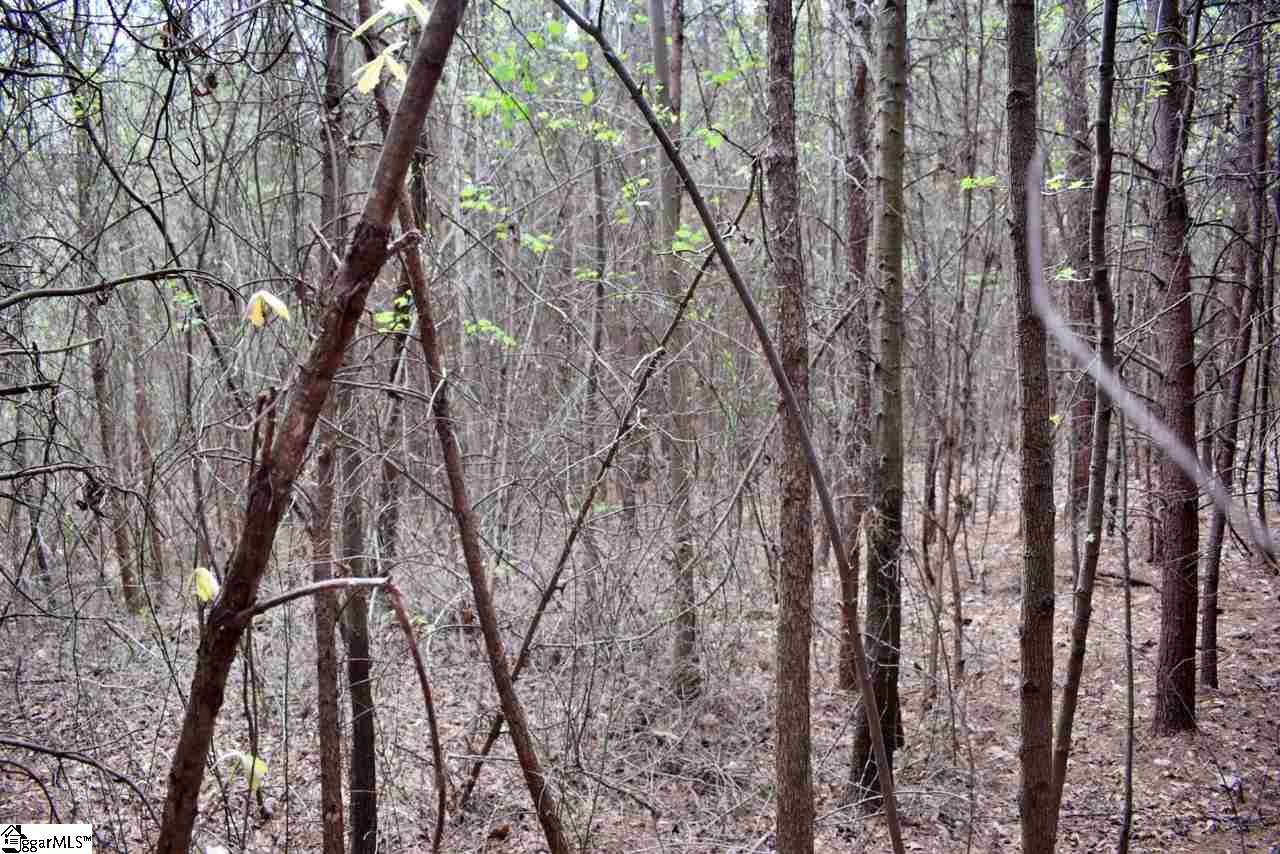 115 State Rd S-42-779 Inman, SC 29349 - Photo 13 of 19