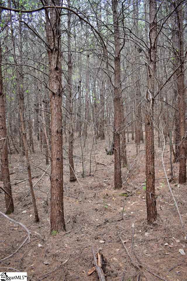 115 State Rd S-42-779 Inman, SC 29349 - Photo 14 of 19