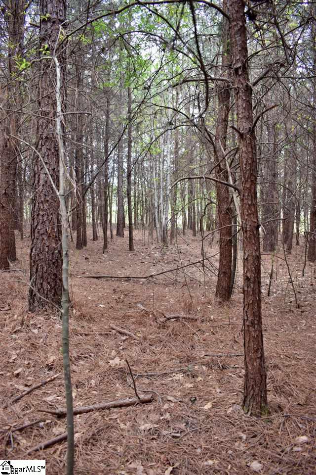 115 State Rd S-42-779 Inman, SC 29349 - Photo 15 of 19