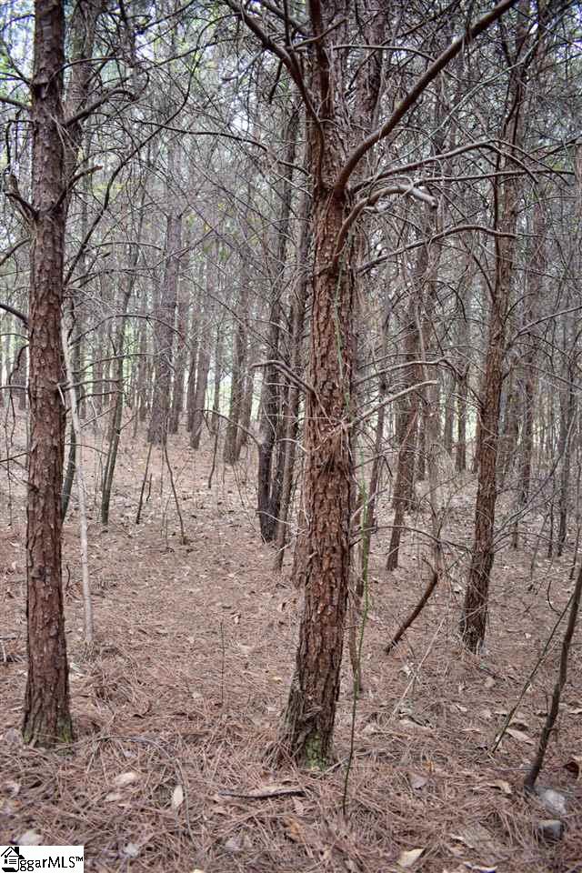 115 State Rd S-42-779 Inman, SC 29349 - Photo 16 of 19