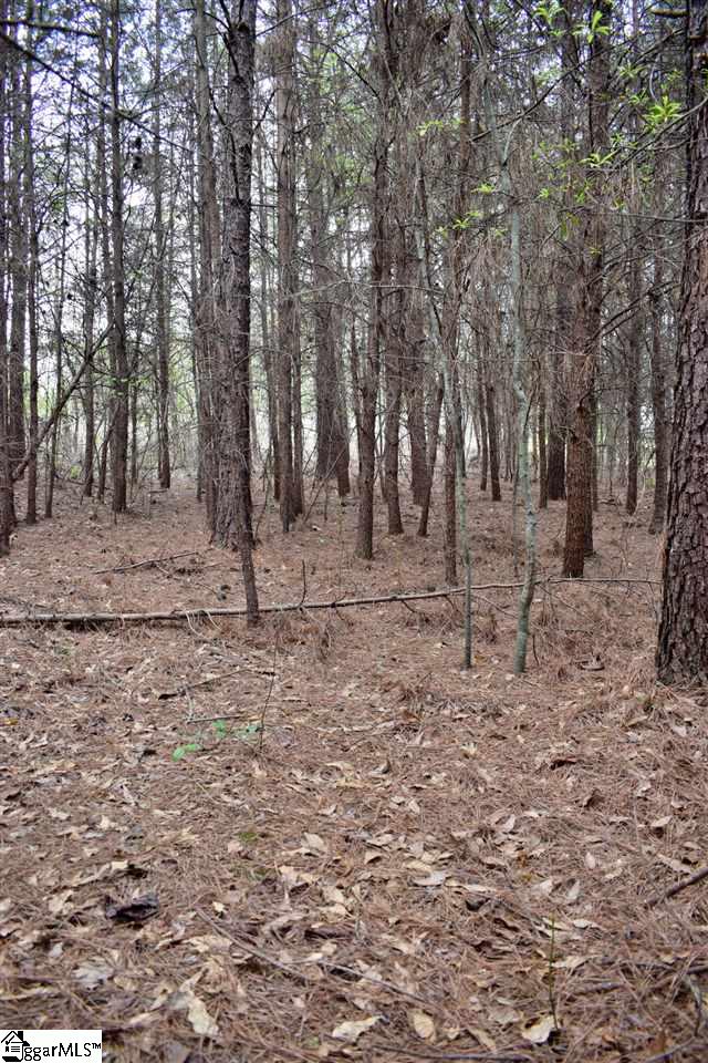 115 State Rd S-42-779 Inman, SC 29349 - Photo 17 of 19