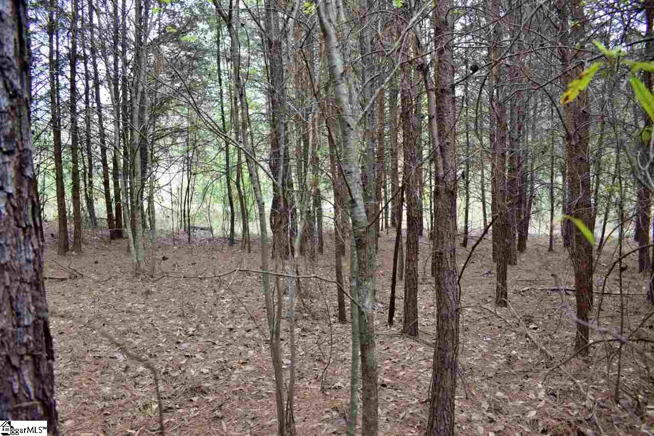 115 State Rd S-42-779 Inman, SC 29349 - Photo 18 of 19
